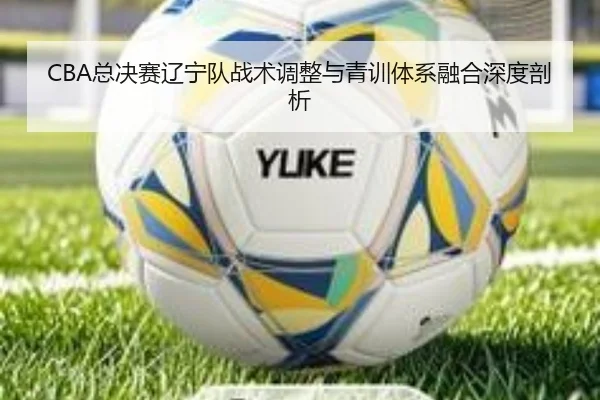zong-jue-sai-liao-ning-dui-zhan-shu-tiao-zheng-yu-qing-xun-ti-xi-rong-he-shen-du-pou-xi-2-400.jpg