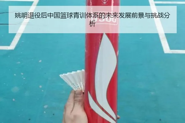 姚明退役后中国篮球青训体系的未来发展前景与挑战分析