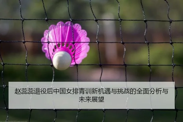 赵蕊蕊退役后中国女排青训新机遇与挑战的全面分析与未来展望