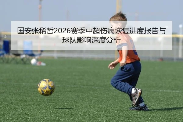 国安张稀哲2026赛季中超伤病恢复进度报告与球队影响深度分析